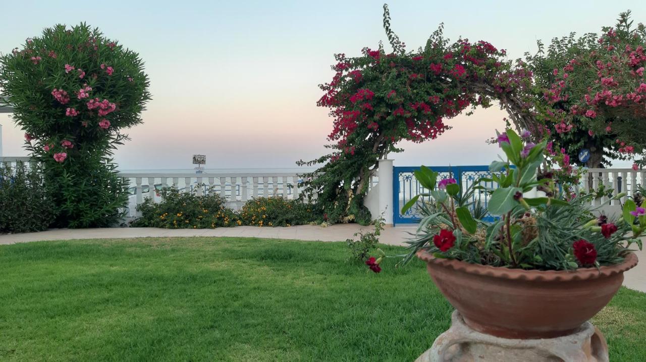 Antonios Apartments Stegna Арханґелос Екстер'єр фото
